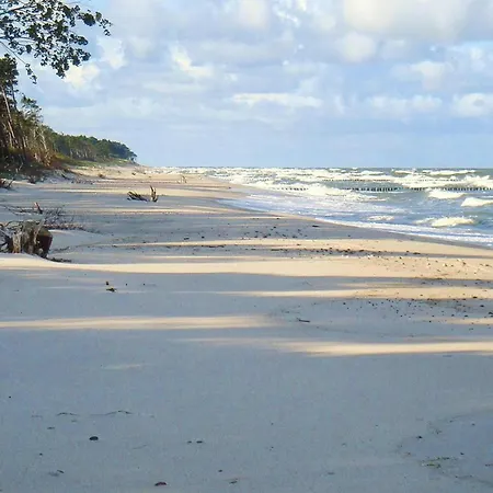 Family Homes, Ferienhaus *